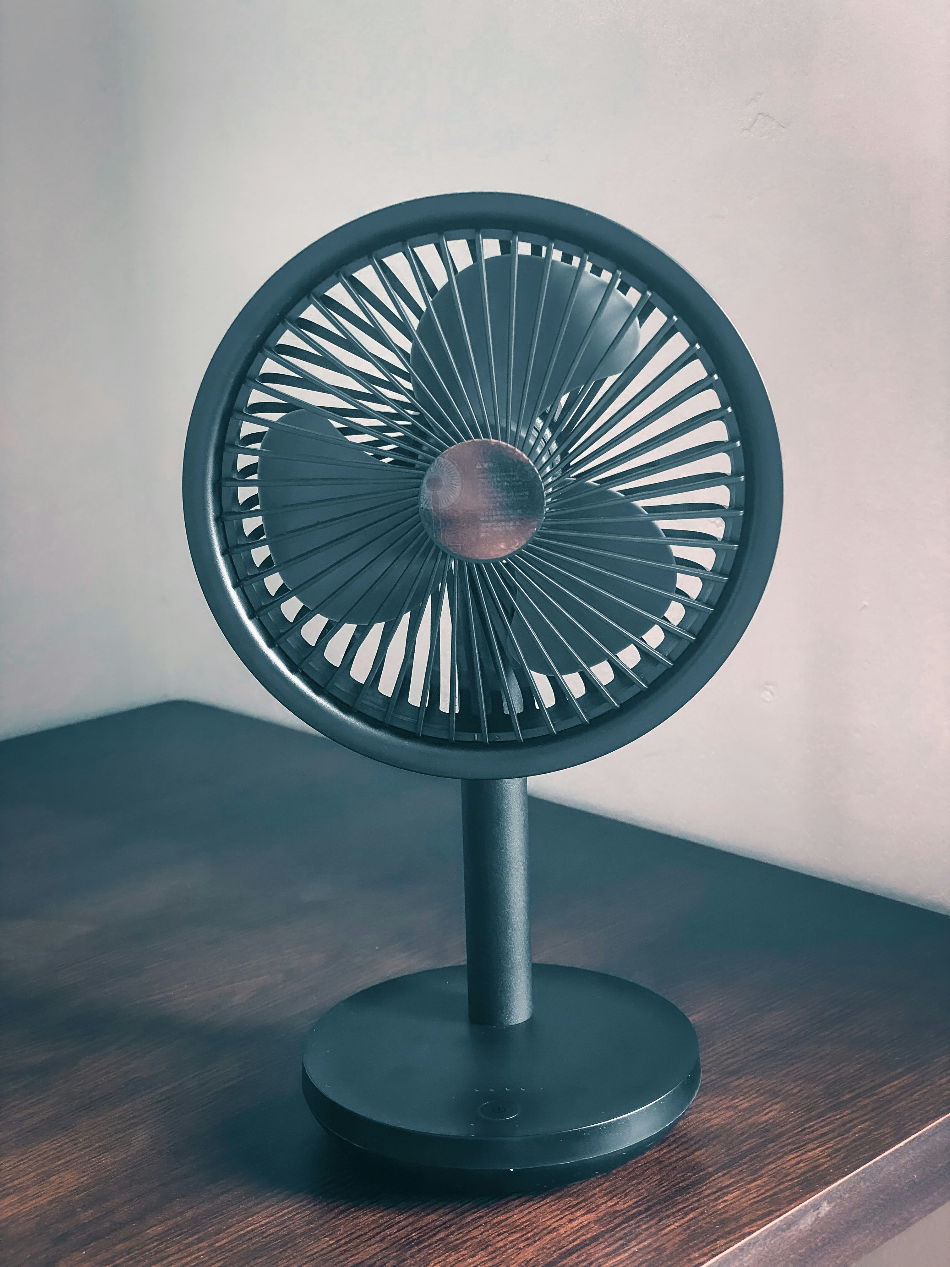 Fan