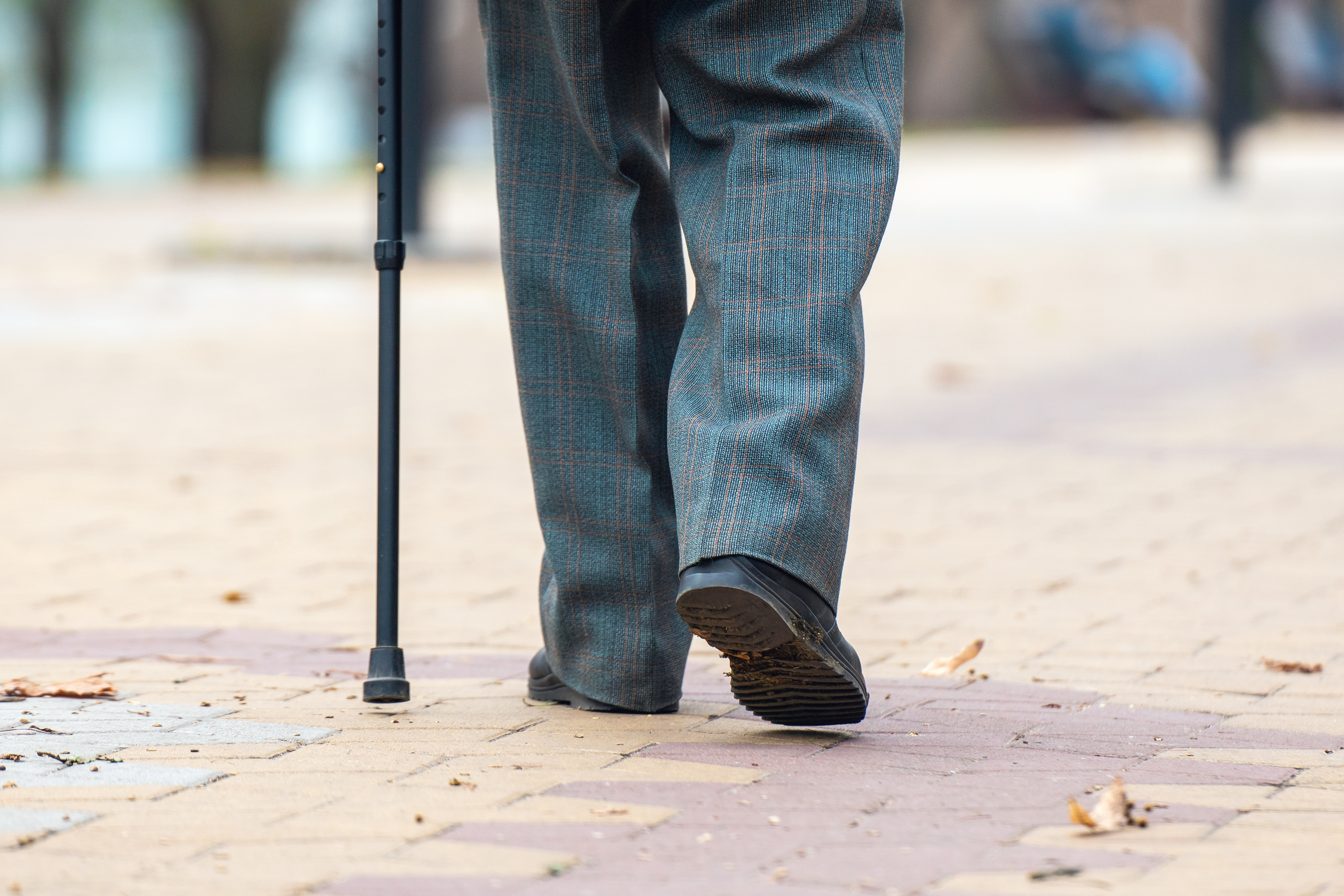 Man with walking stick
